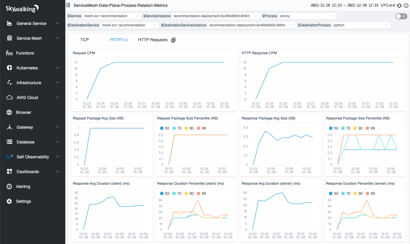 Figure 17: HTTP/1.x metrics in a network profiling task.